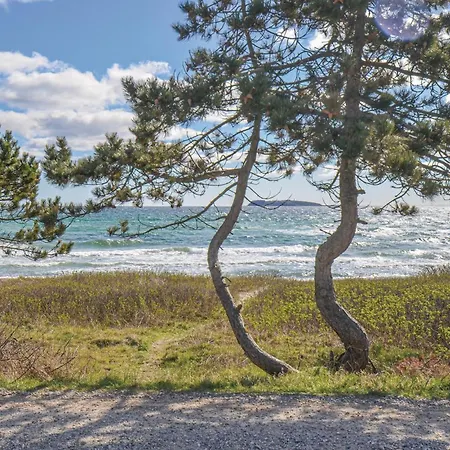 Pet Friendly Home In Ebeltoft With Sauna Tatil Evi *